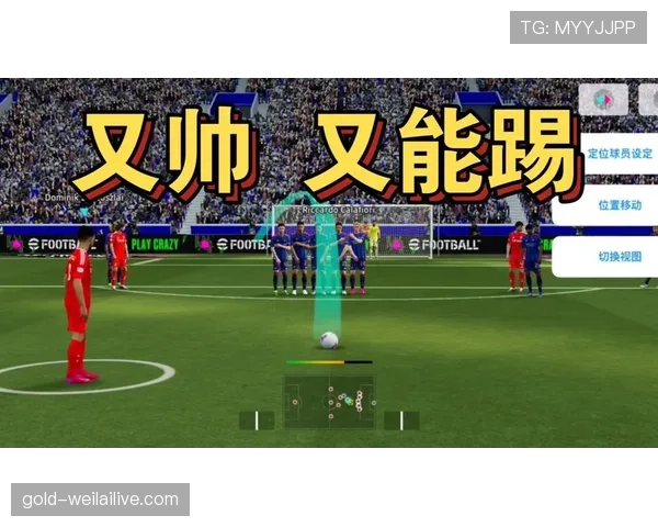 任意球未鸣哨开球，为何有时不判重踢？