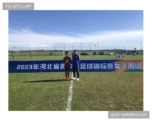 足球比赛中体育道德规则的判罚标准与裁判执行细则解析